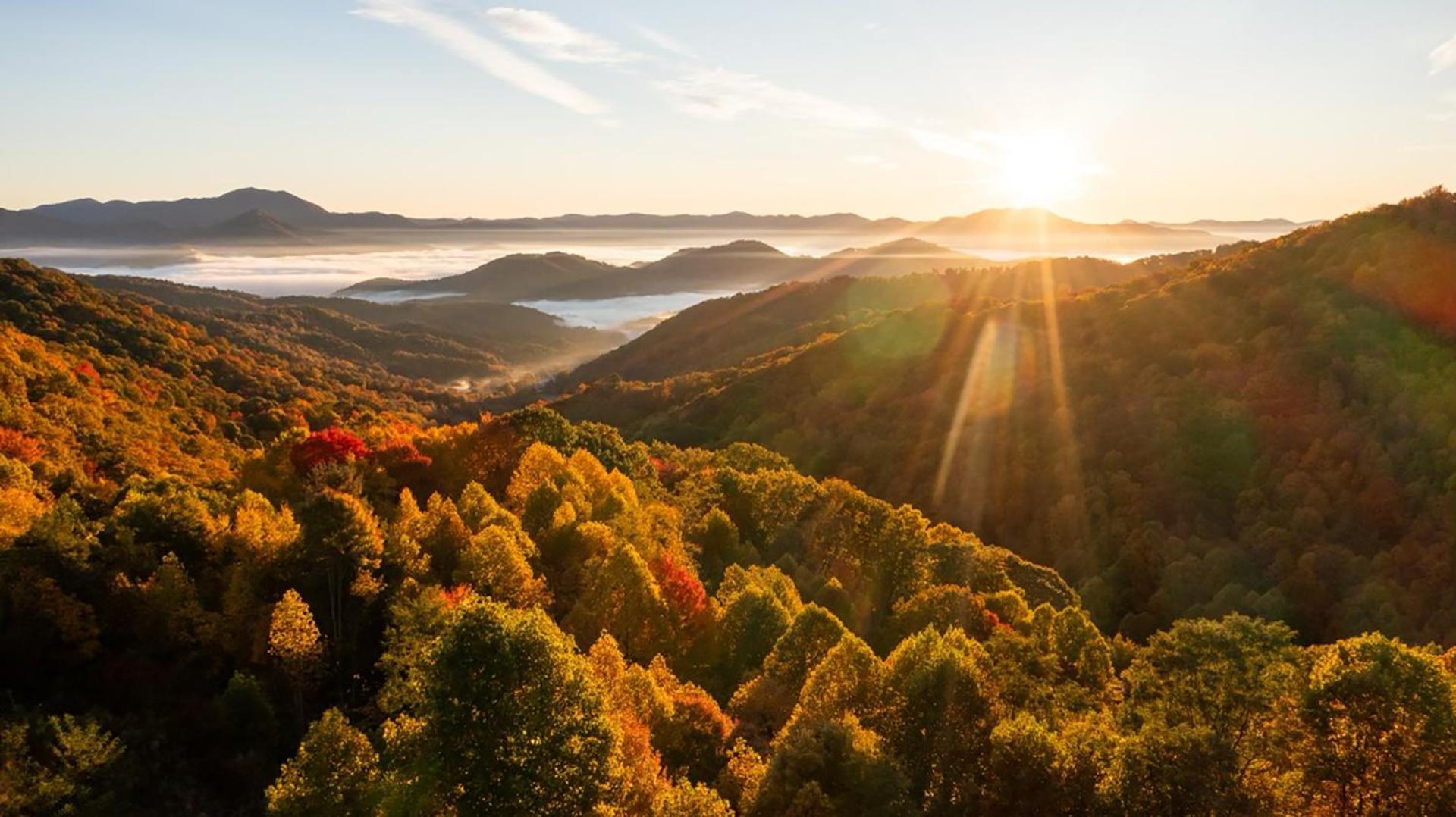 Отель Elk & Embers Mountain Hideaway Уэйнсвилл Экстерьер фото