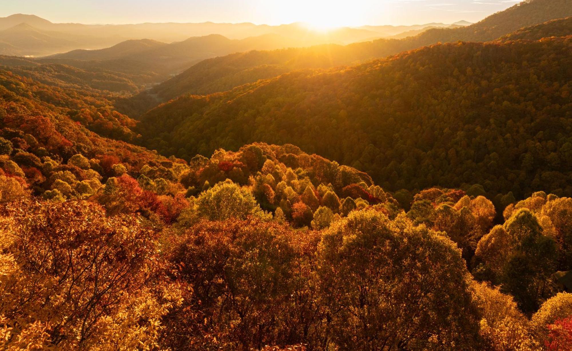 Отель Elk & Embers Mountain Hideaway Уэйнсвилл Экстерьер фото