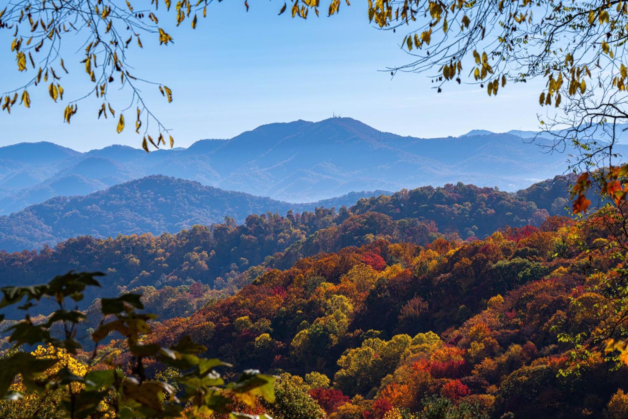 Отель Elk & Embers Mountain Hideaway Уэйнсвилл Экстерьер фото